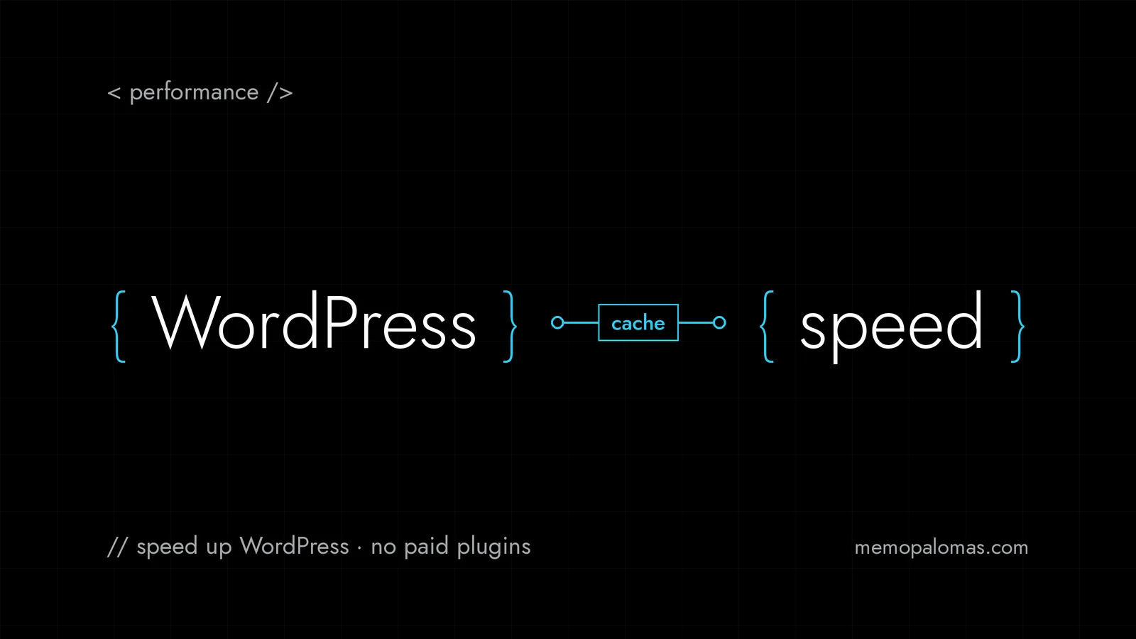 WordPress connected to speed through page caching